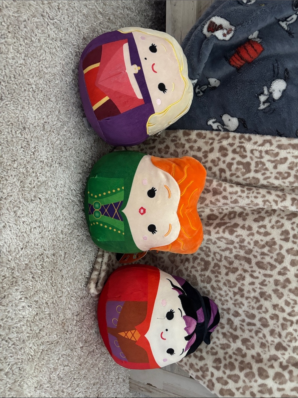 set of 3 Squishmallows Sanderson sisters (1 with tag)